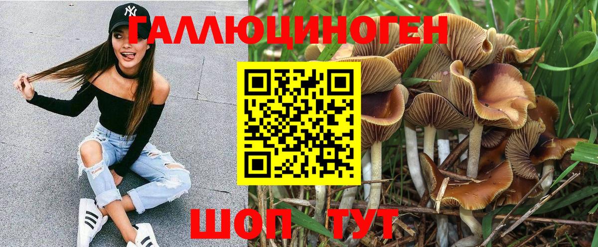 Каспийск  Псилоцибиновые грибы MAGIC MUSHROOMS  где можно купить   Вход с VPN 