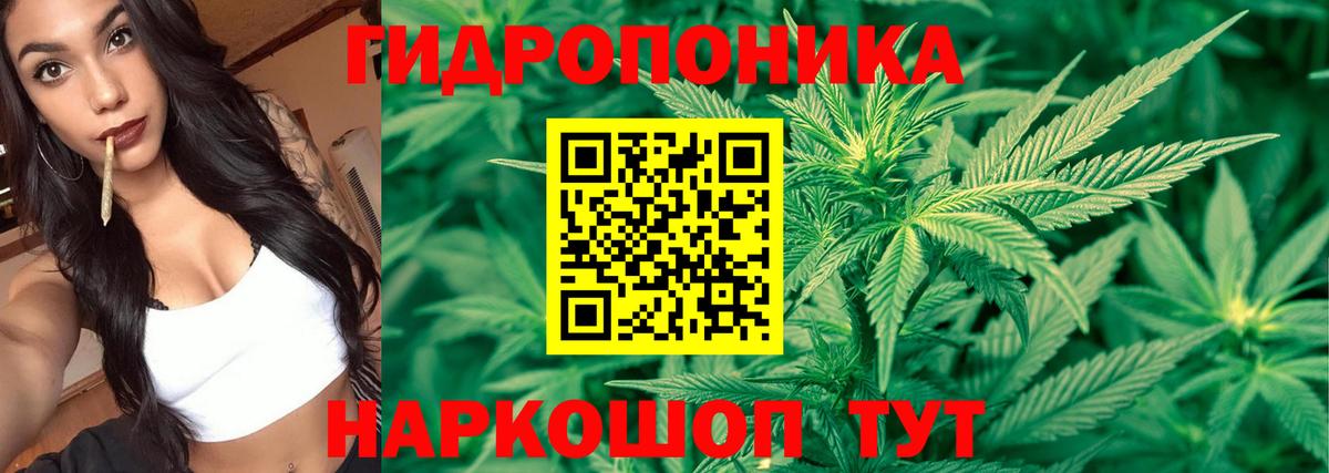 Каспийск  Марихуана Ganja  Вход с VPN  МАРИХУАНА SATIVA & INDICA  Конопля OG Kush 